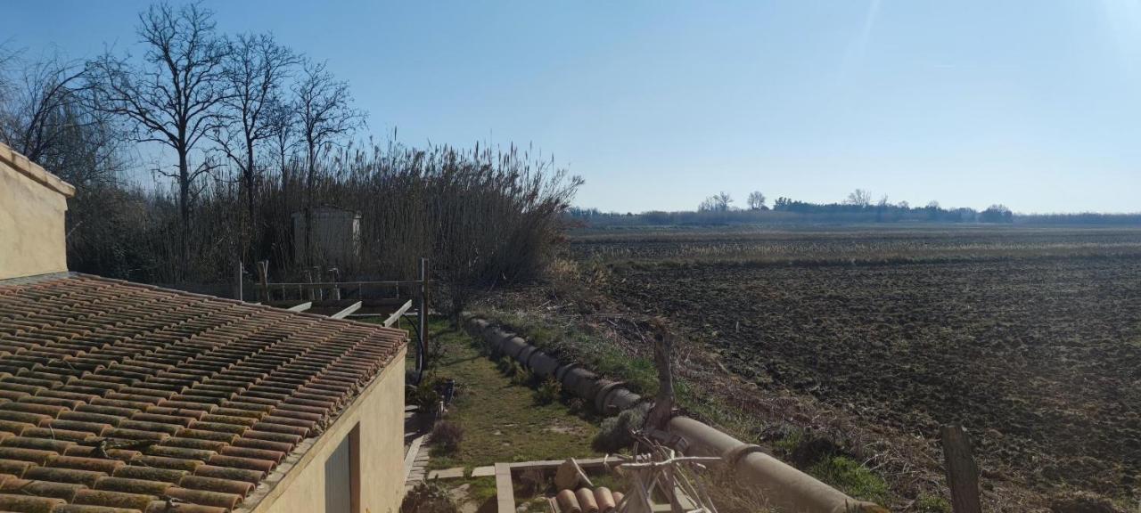 Appartement Au Coeur Des Rizieres Salin-de-Giraud Eksteriør billede