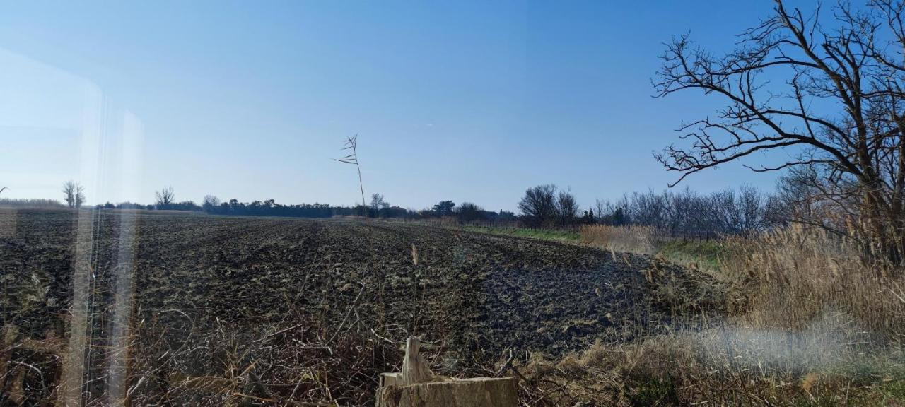 Appartement Au Coeur Des Rizieres Salin-de-Giraud Eksteriør billede