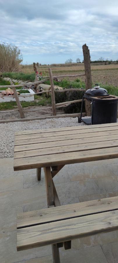 Appartement Au Coeur Des Rizieres Salin-de-Giraud Eksteriør billede